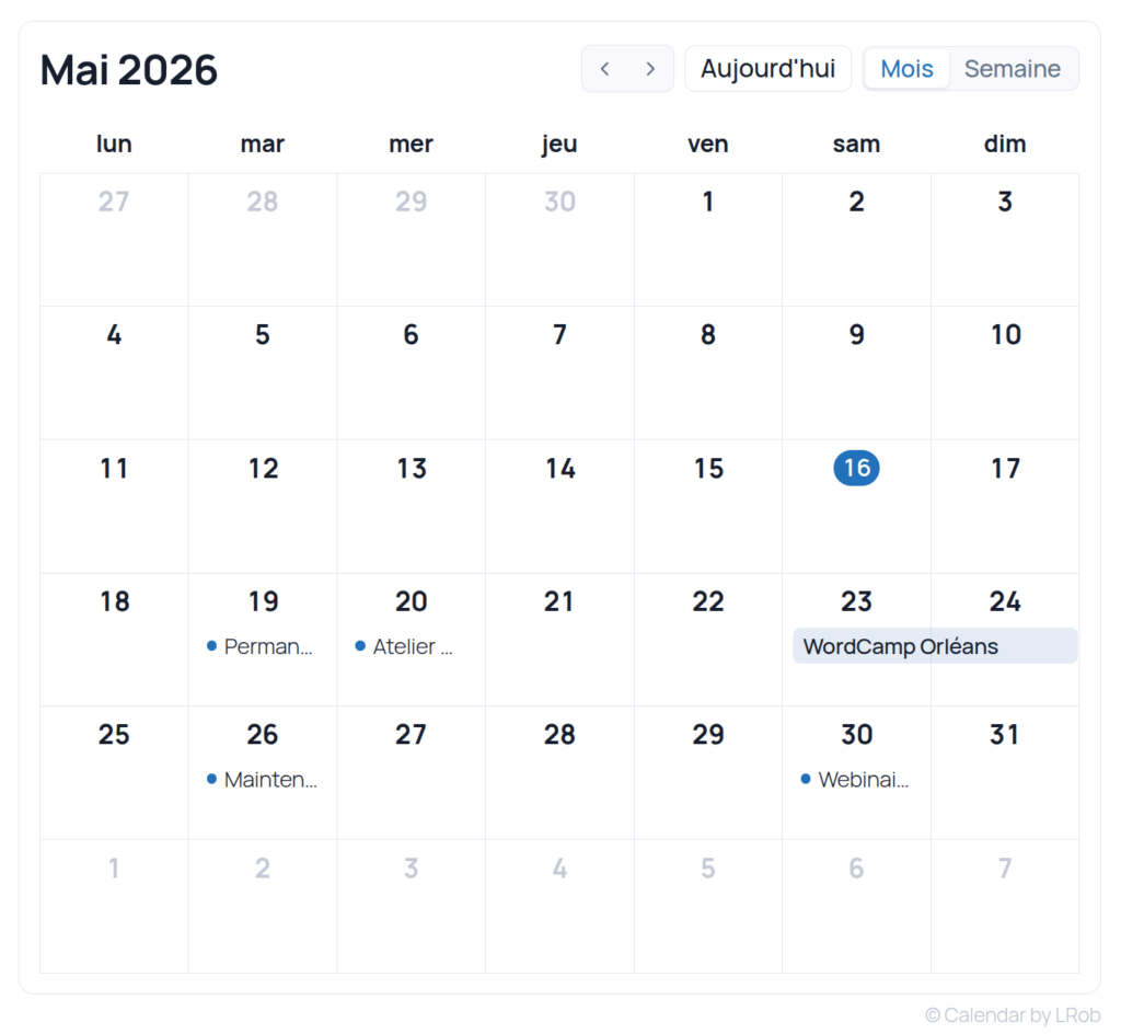 Dynamic calendar display